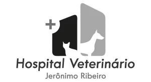 06_HVJR
